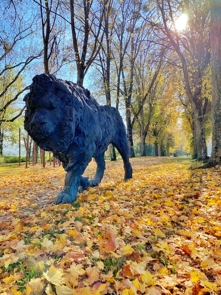 Allée cavalière recouvertes de feuilles orangées en automne avec la sculpture du lion de Davide Rivalta.
