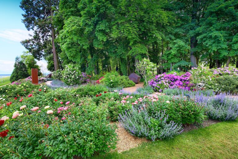 Plan large du jardin de Daria au Château de Vullierens.