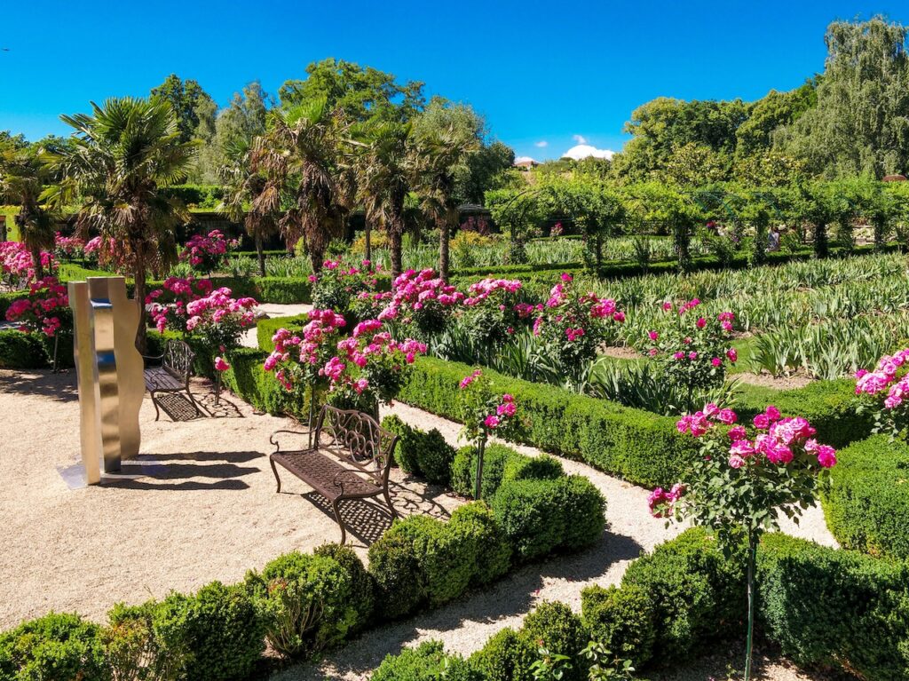 Plan large du jardin de Doreen du Château de Vullierens lors de la floraison de juin avec des rosiers roses en fleurs.