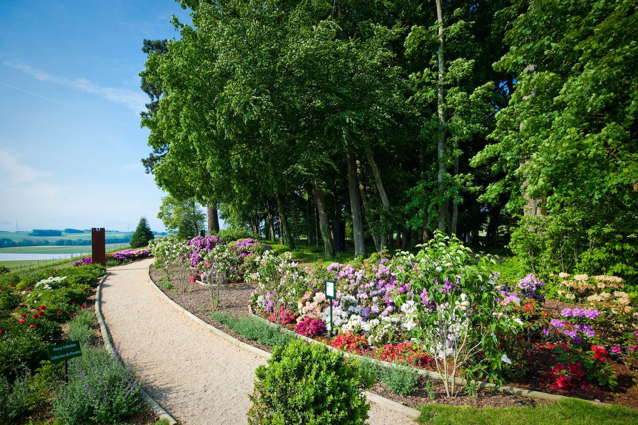 Vue aérienne du jardin de Daria en pleine floraison au printemps.