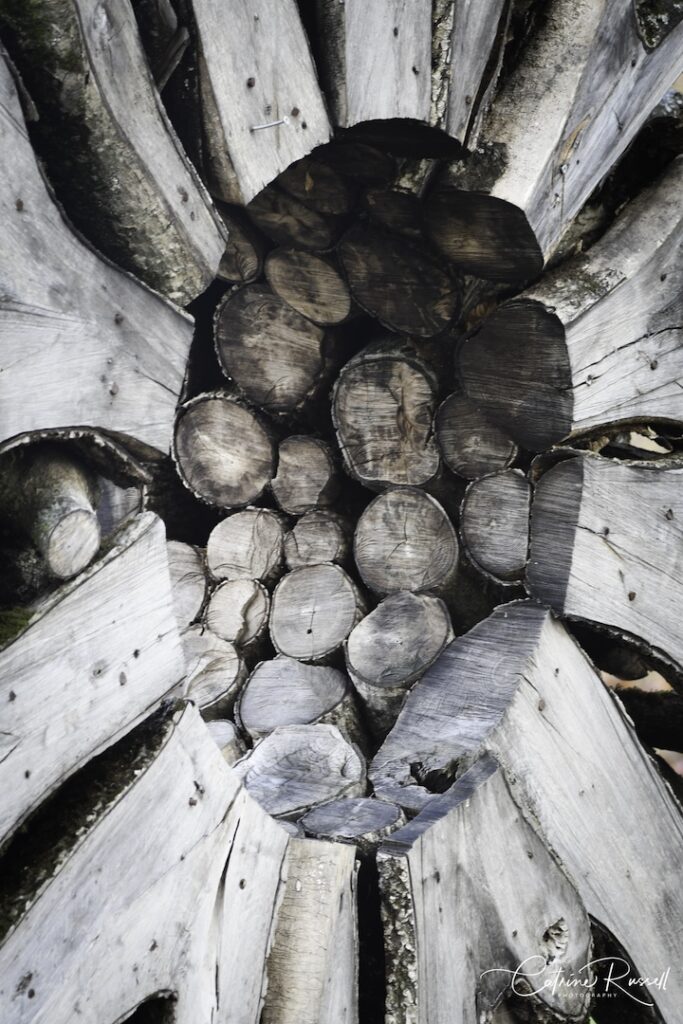 Close-up de la sculpture d'Urs Twellmann dans laquelle nous apercevons des troncs d'arbres coupés.