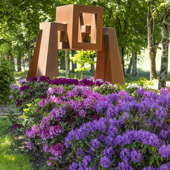 Les rhodos du Jardin de Muni sont en fleurs au Château de Vullierens.