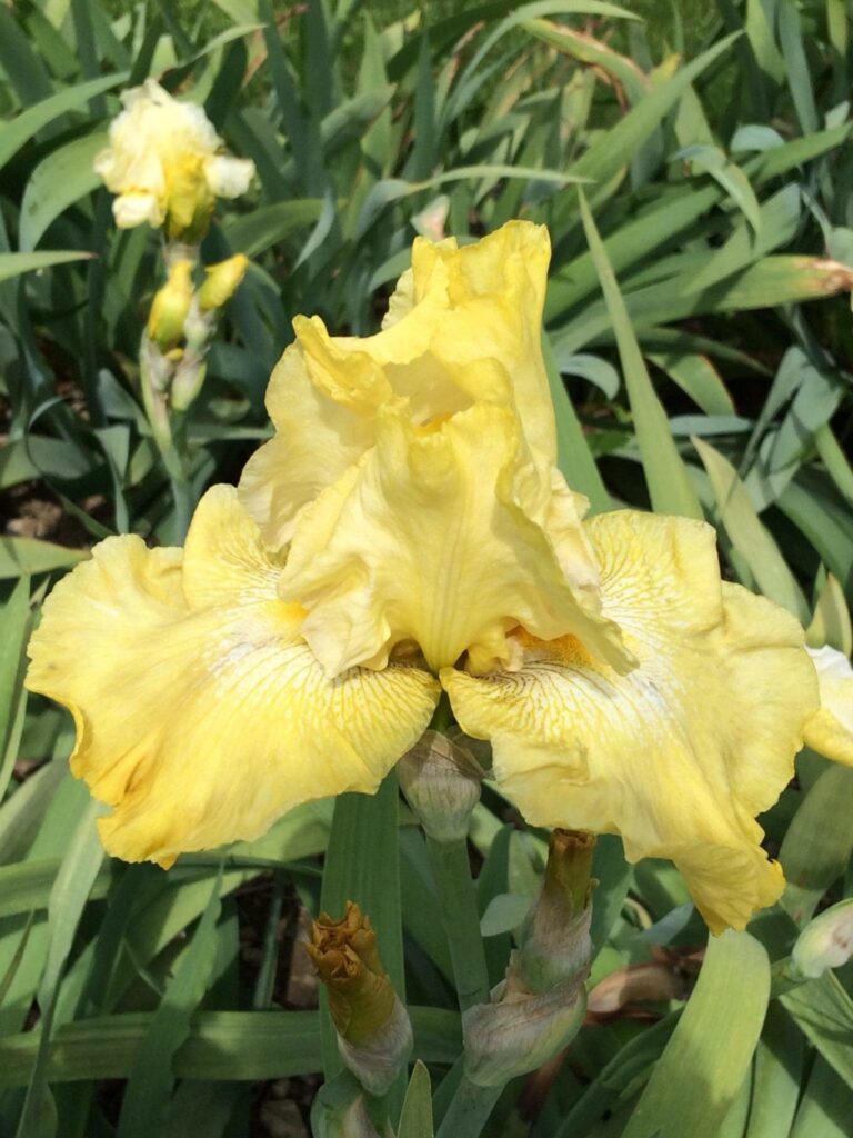 Foto von Again And Again - R