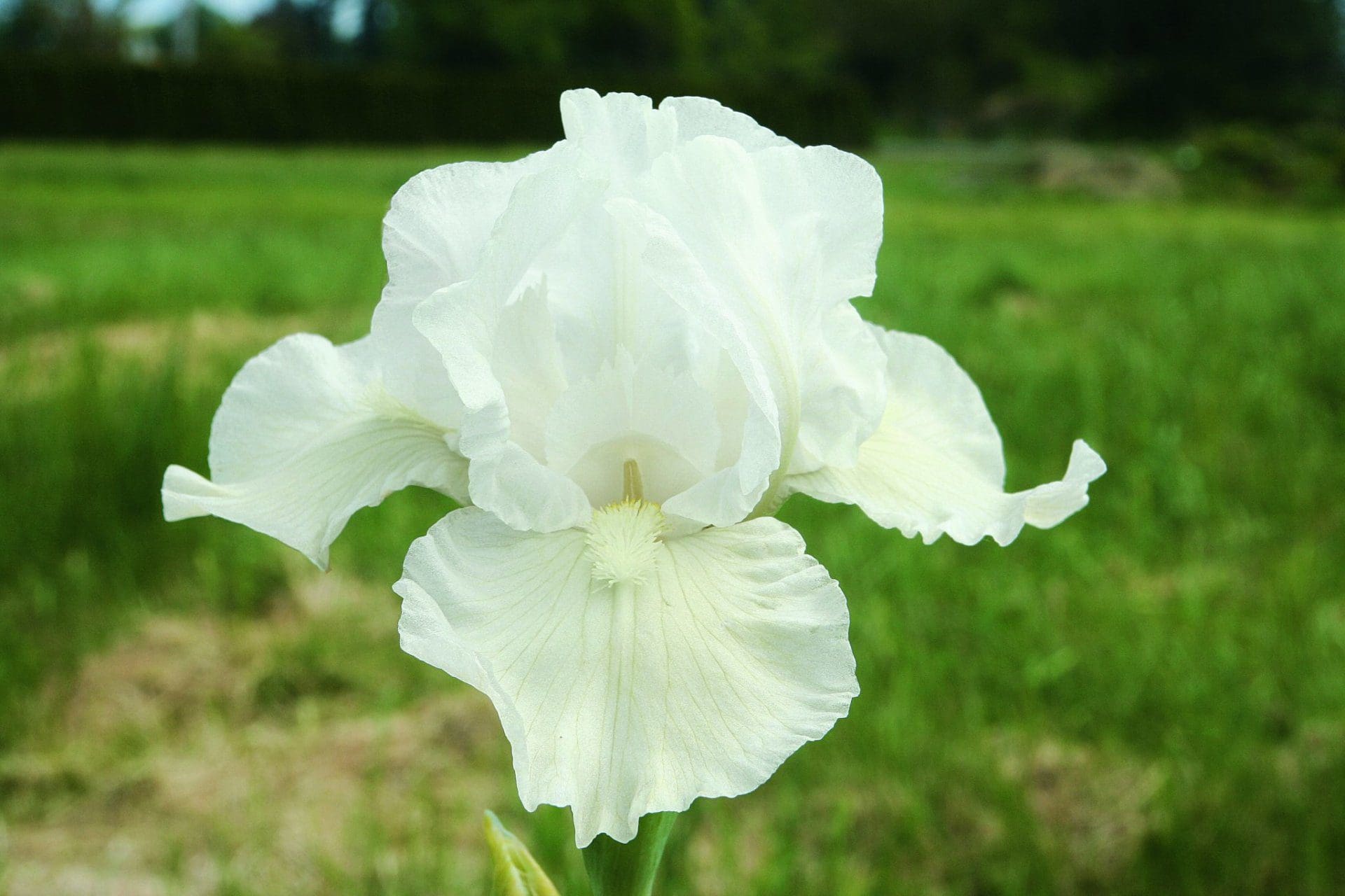 Foto von Angelwalker - R