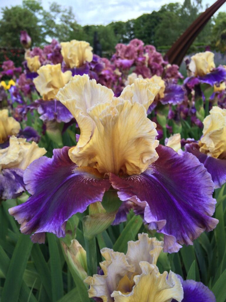 Foto von Final Episode - R