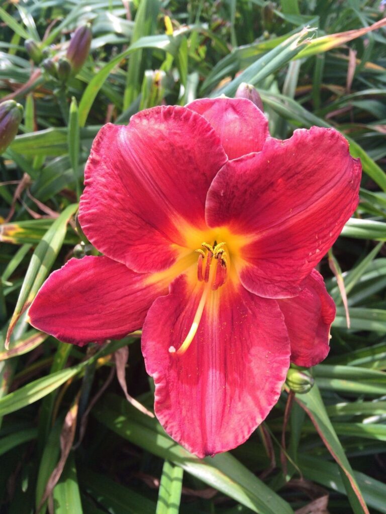 Foto von James Marsh