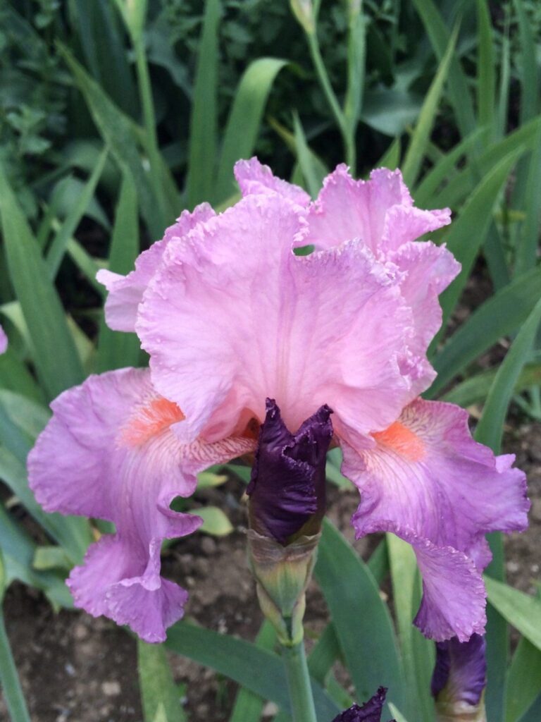 Foto von Jennifer Rebecca - R