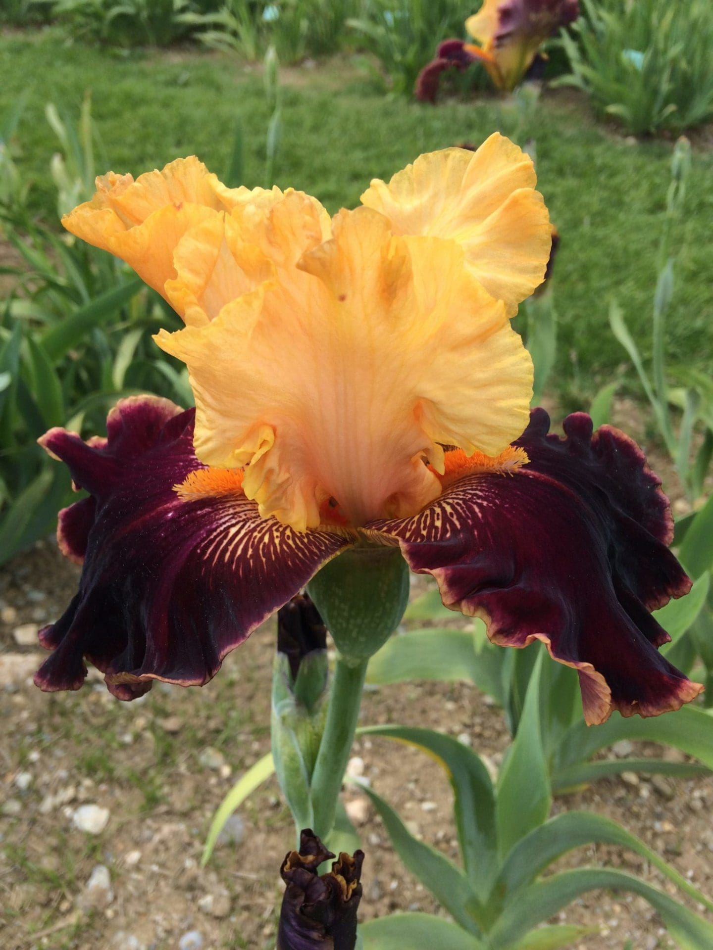 Foto von Mexican Holiday