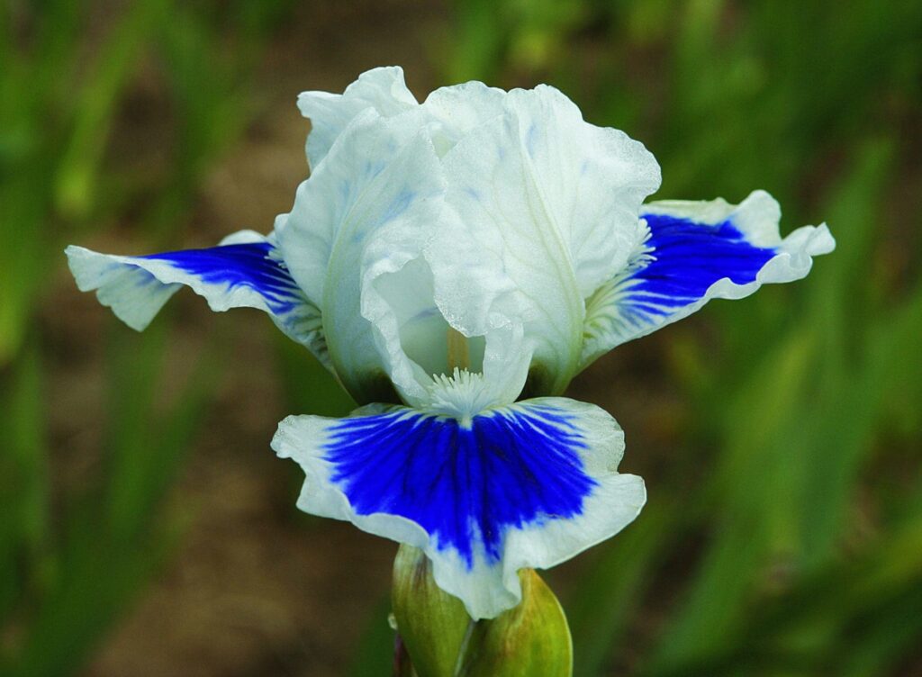 Foto von Open Your Eyes