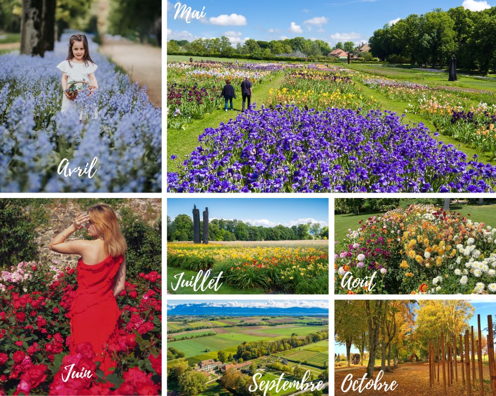 Montage de 7 photos illustrant les 7 saisons d'ouverture du Château de Vullierens avec les différentes fleurs phares en floraison.