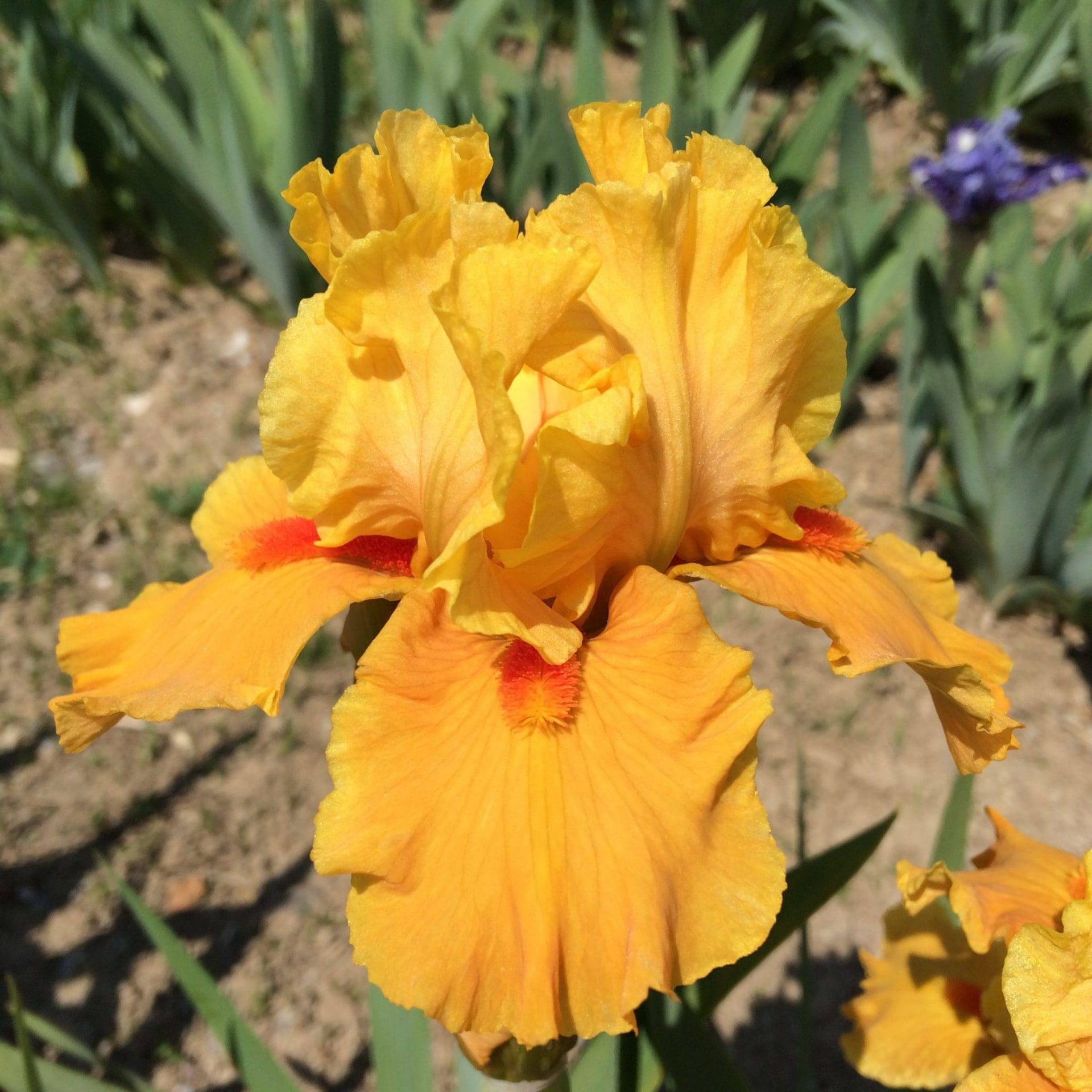 Foto von Season Ticket