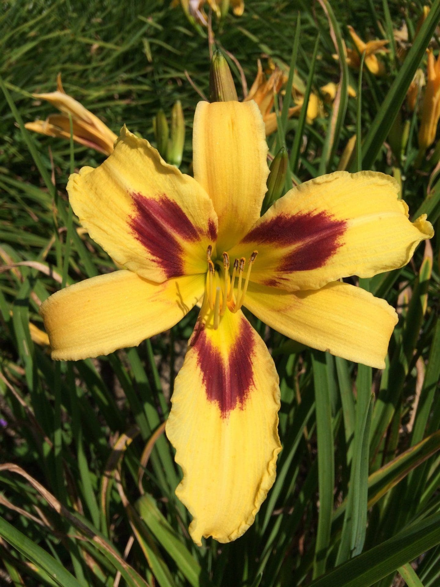 Foto von Spectacular