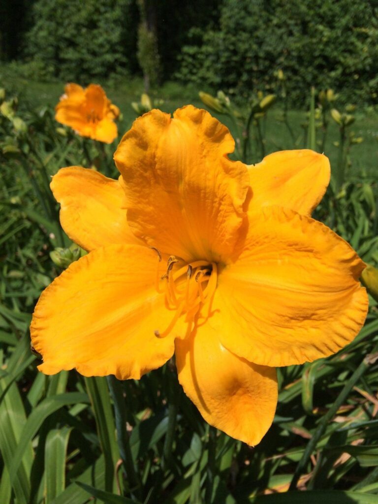 Foto von Spellbinder