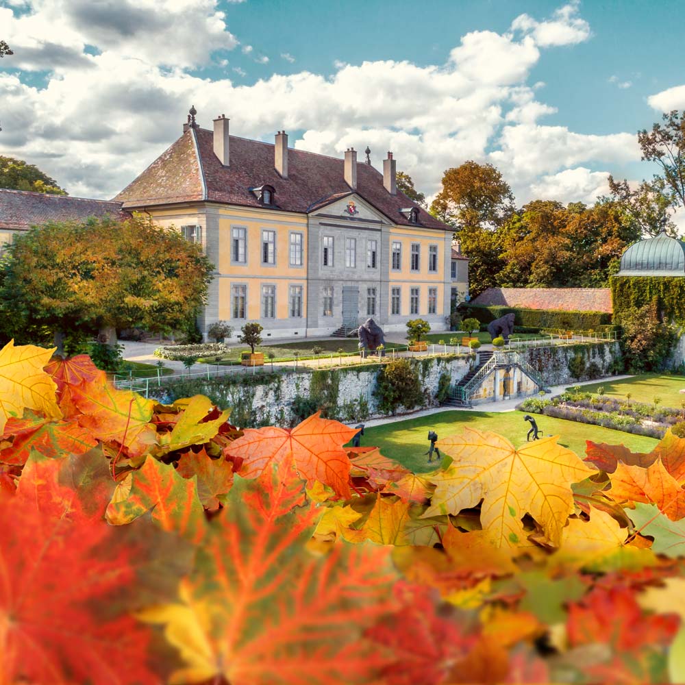 Montage photo illustrant le Château de Vullierens en arrière plan avec un parterre de feuilles d'automne.