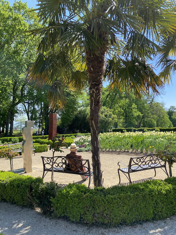 Une homme assis sur un banc en train de profiter du soleil de début de saison dans le jardin de Doreen. Les tulipes blanches sont en fleurs.