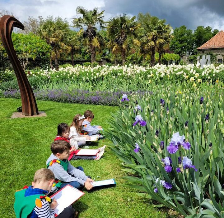 6 petits écoliers assis dans le jardin de Doreen du Château de Vullierens en train d'apprendre à peindre les iris en fleurs se trouvant devant eux.
