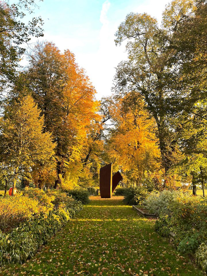 Les arbres du jardin de Muni sont orange vif grâce à leurs feuilles d'automne et la luminosité de fin de journée qui les fait briller !