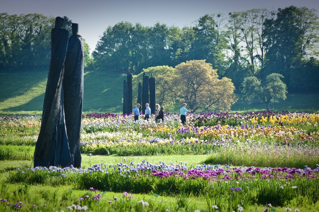 5 personnes qui se baladent dans les plantations d'iris en pleine floraison, au mois de mai, à la lumière de fin de journée. Des sculptures sont visibles aussi.
